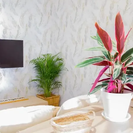 Guest house Anjos Central Intendente